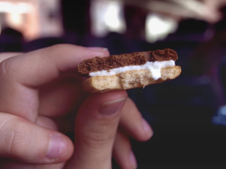 someone holding a miniature ice cream sandwich in their hand