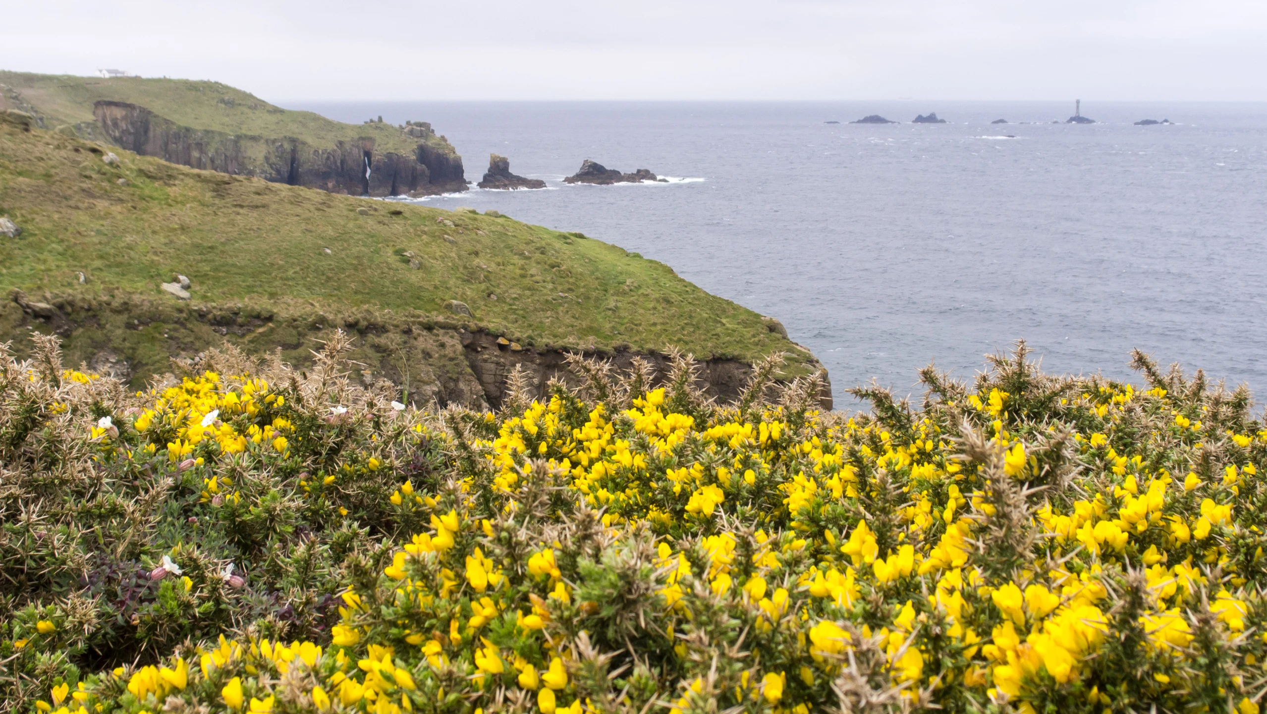 a green grassy hill overlooking the ocean and some hills