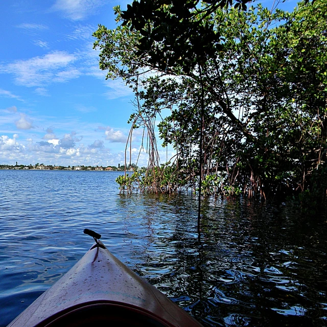 the view from a canoe looking at a bird sitting on the edge