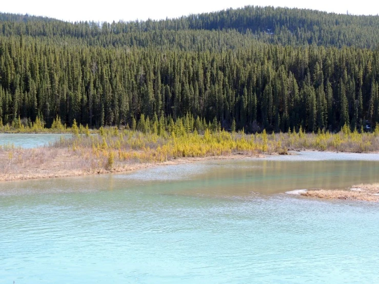 a lake with trees and grass and some hills behind it