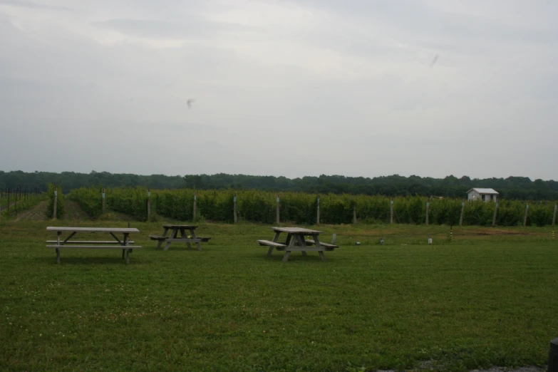 there are several picnic benches at the end of the grassy field