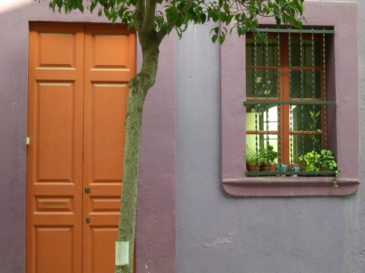 the exterior of a building with a tree in front