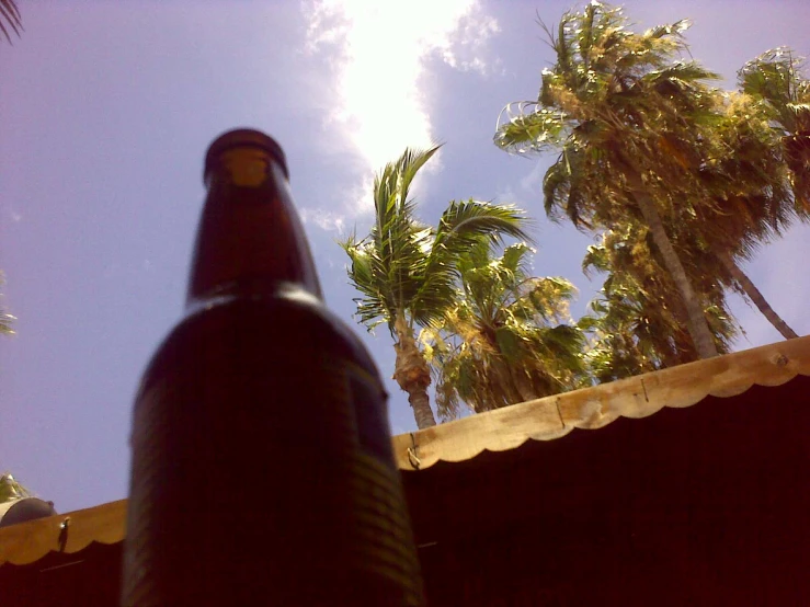 the back view of a bottle with a straw in it, with palm trees in the background