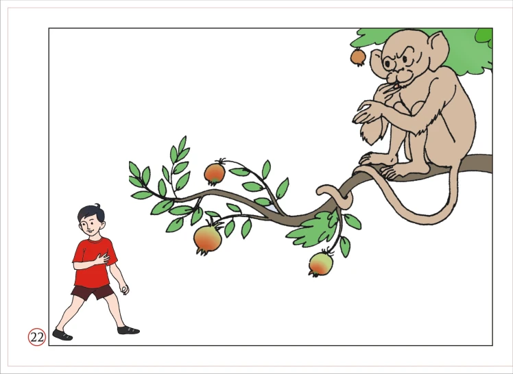 a monkey is on a tree with an oranges