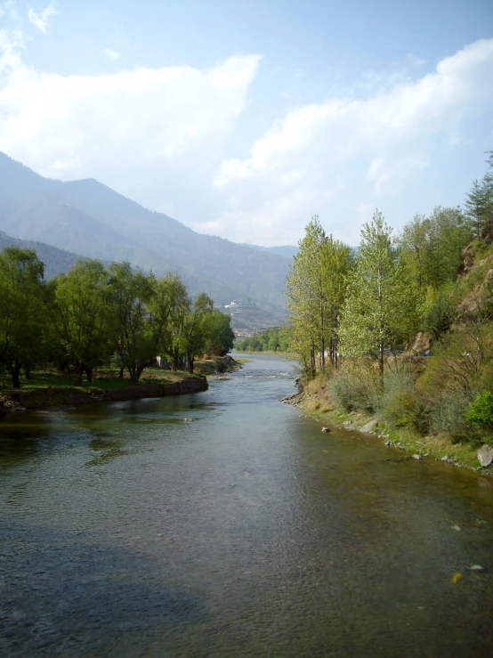 a river that is running through some trees