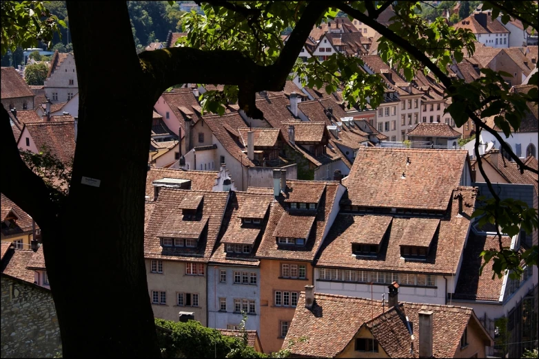 a very pretty looking old city with lots of buildings