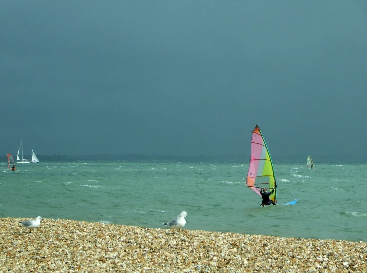 a kite surfer holds his board at the beach while others swim in the water