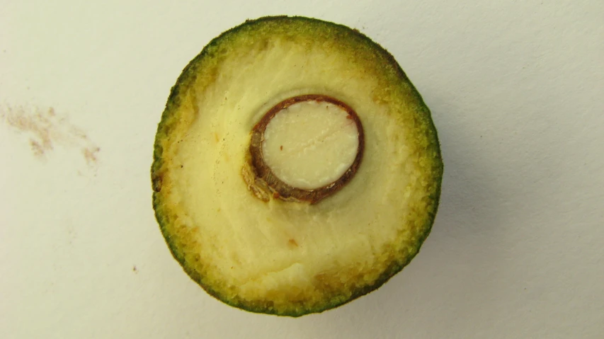 an odd looking object made of cut cucumber