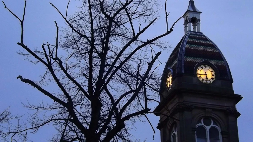 the top of a clock tower with tree nches on a dusk day
