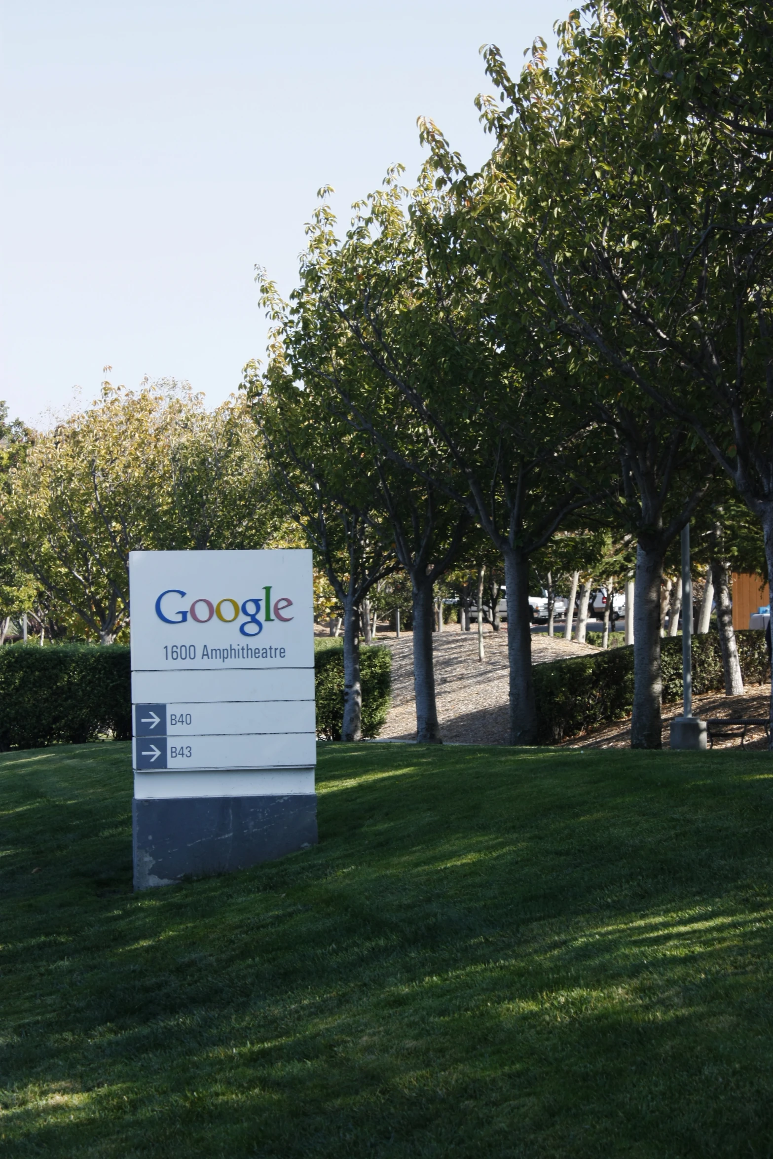 a google sign stands on some grass near trees