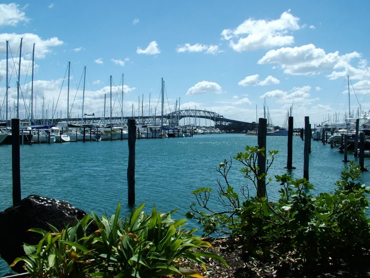 a picture of boats docked at a harbor