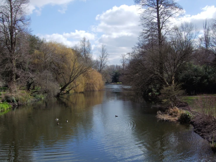 there is a calm river on a sunny day