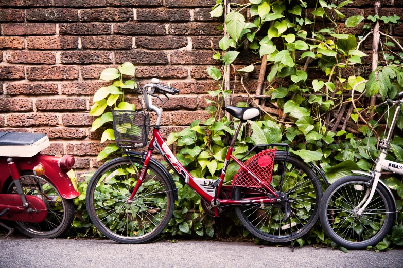 two bikes parked next to a brick wall