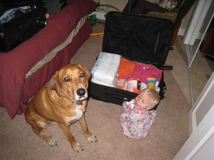 a baby and a dog next to an open suitcase