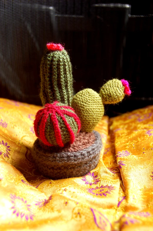 cactus decorations placed on a blanket with the woman looking in the window