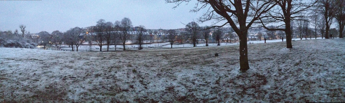 a snow covered field with trees on either side