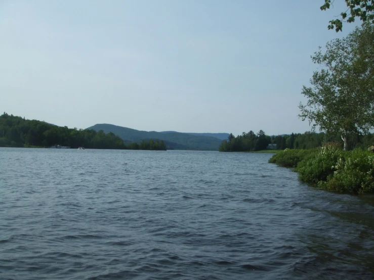 a large lake with trees and bushes near by