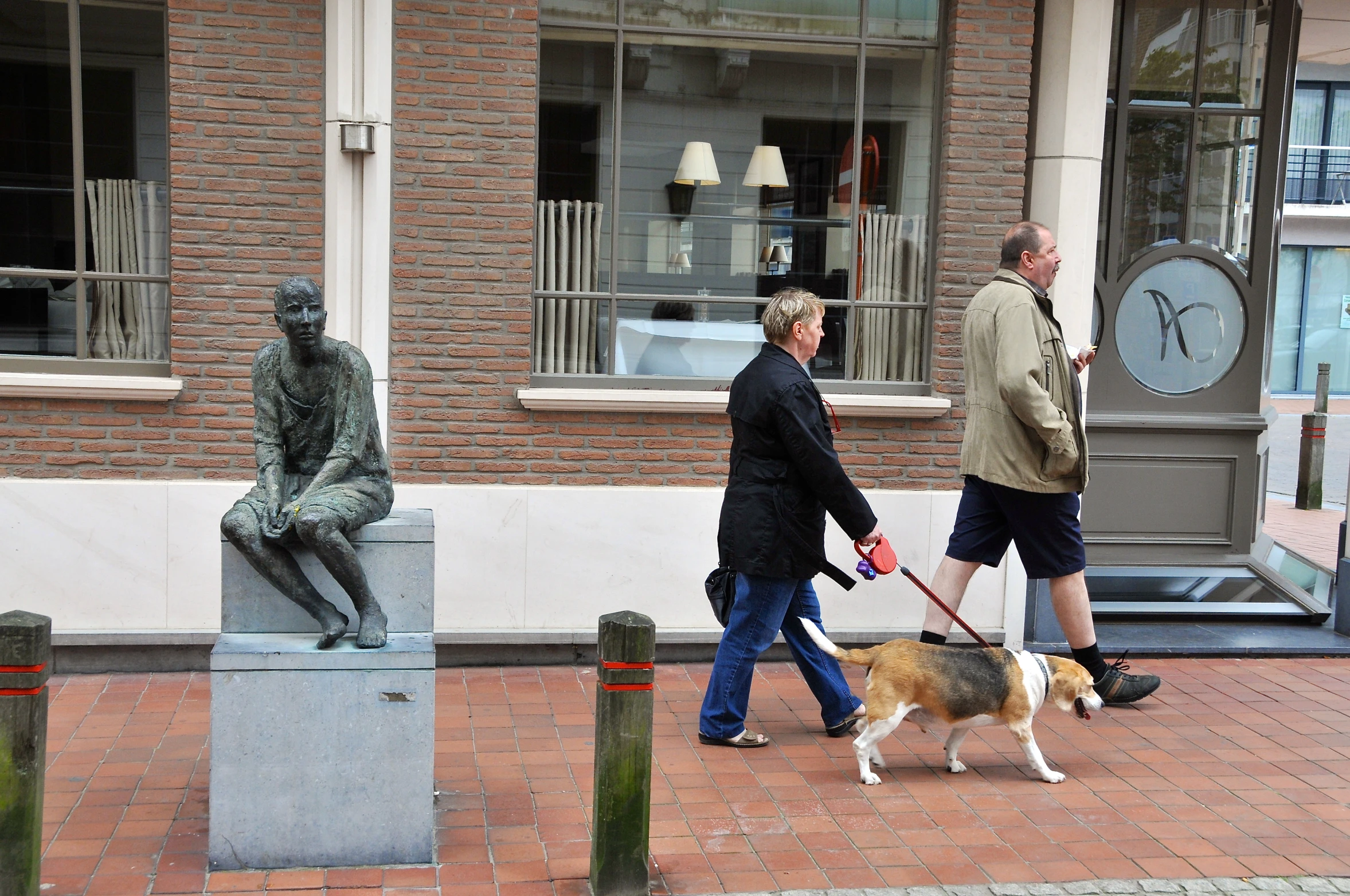 a person is walking their dog on the street