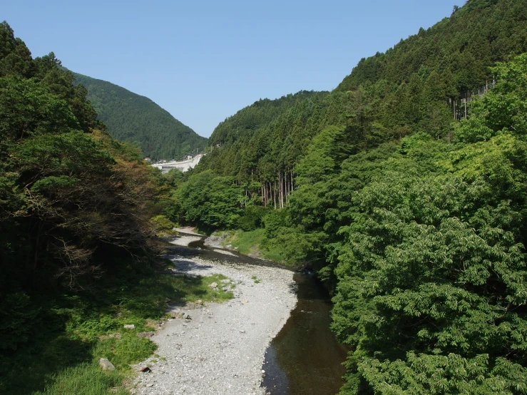 an image of a stream in the forest