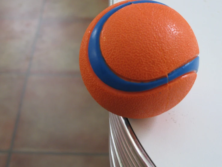 the orange with a blue stripe is sitting on a wire