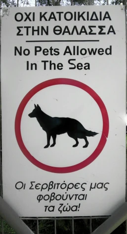 sign in russian indicating the location of a dog