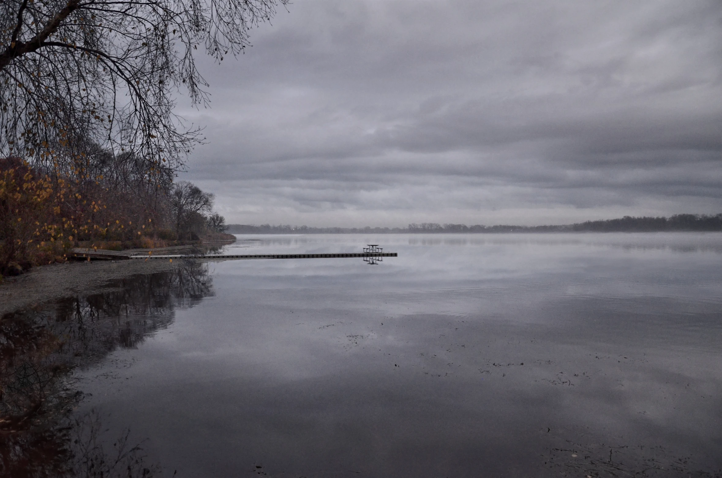 a lake with fog, and trees reflecting in the water