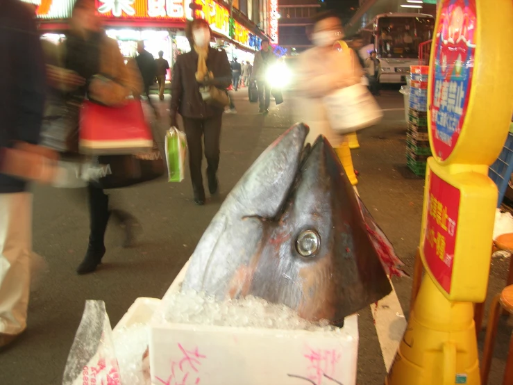 a fish sitting on top of a box next to people