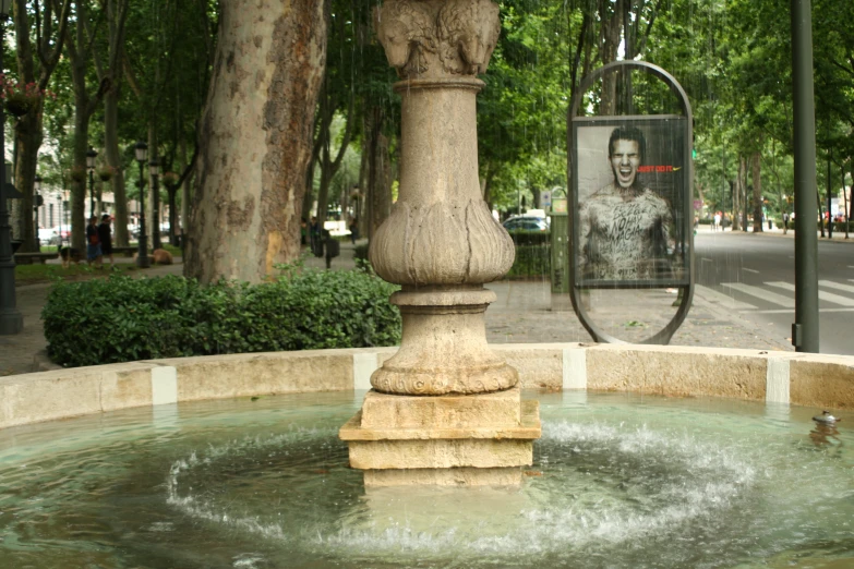 a fountain with water, surrounded by trees