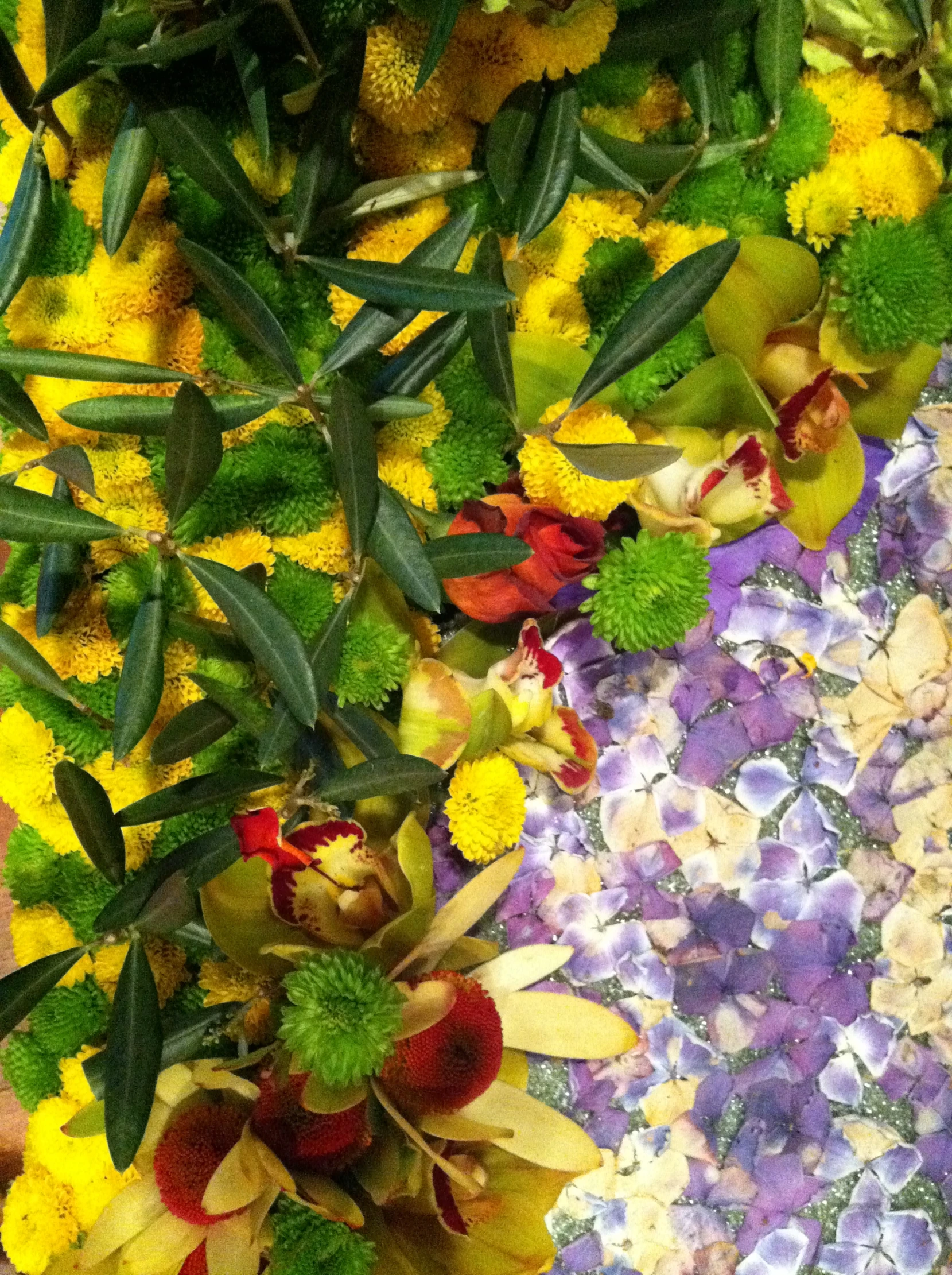 a close up view of colorful flowers and foliage