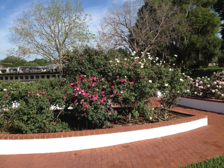 flowers on the side of a brick walkway