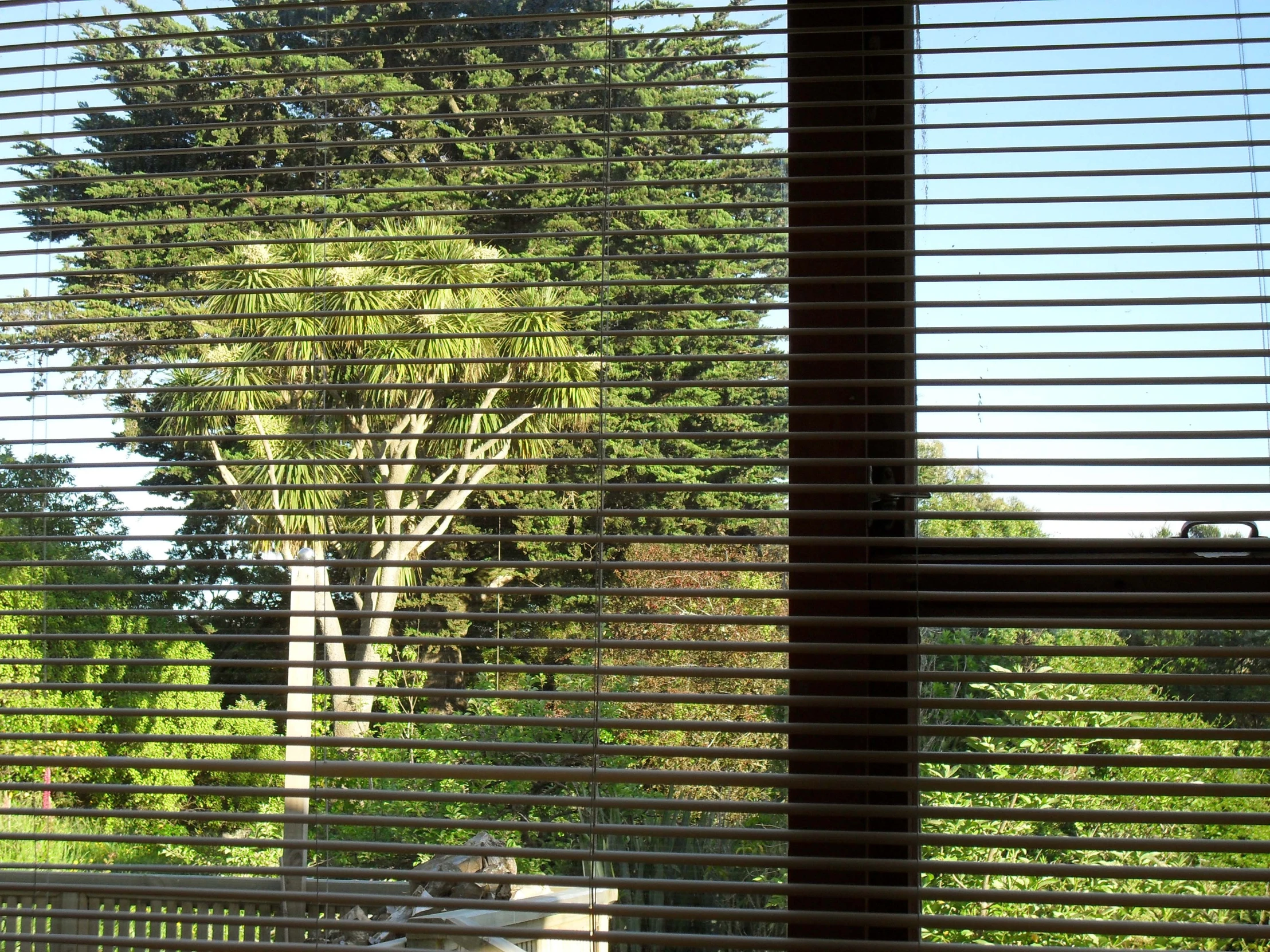 the blind shades are behind a window that shows a large tree