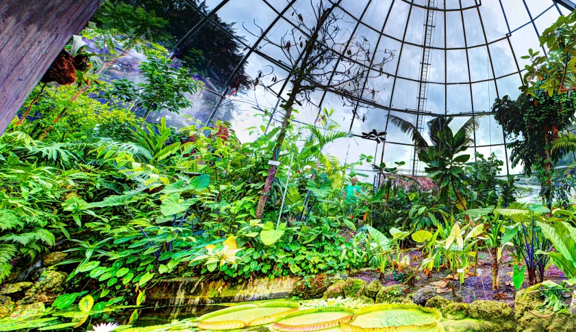 an image of a forest setting with a huge glass window