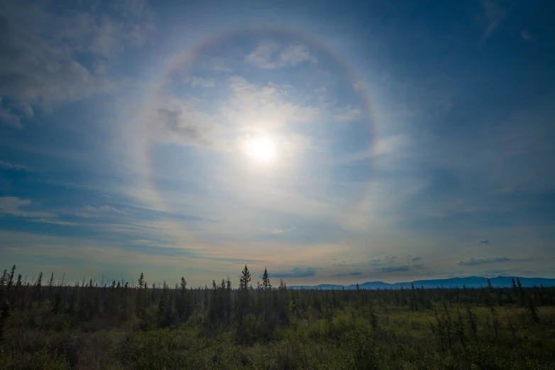 the sun's halo is seen over an area with grass