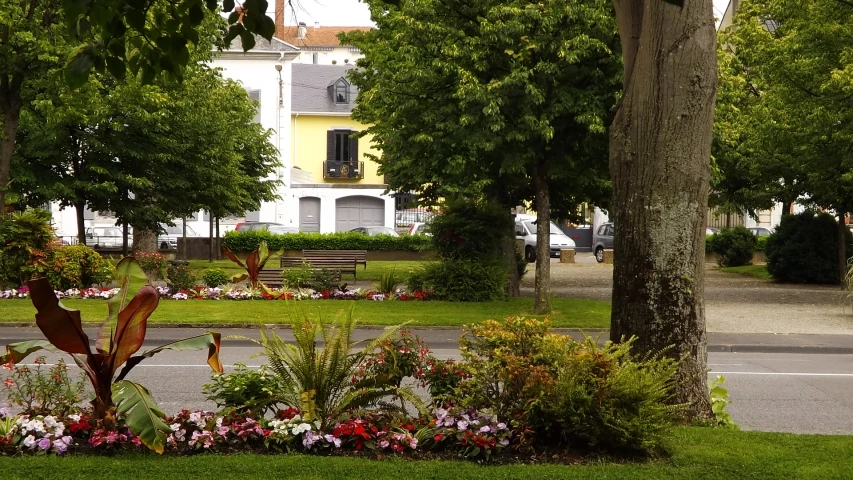 a bench sitting in the middle of the park by some trees