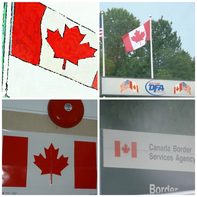 canadian flags and canada banners flying on a building