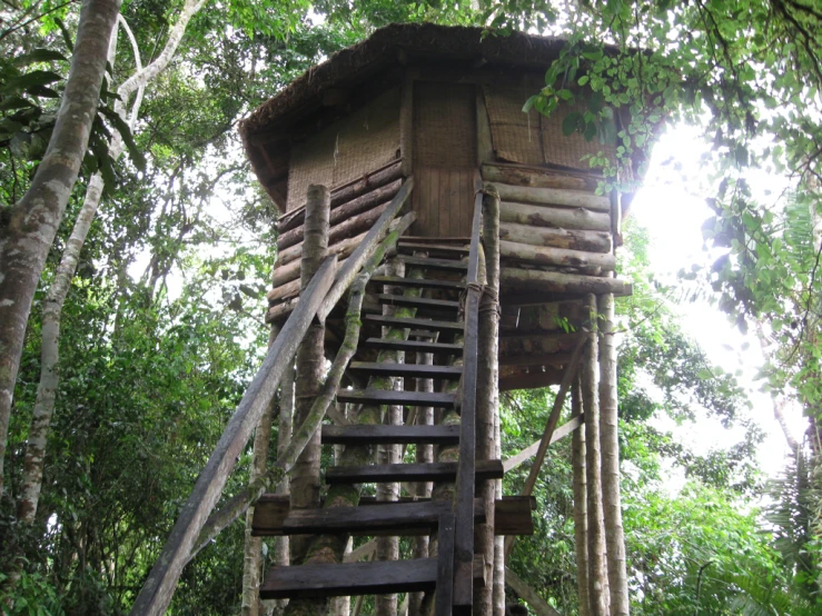 a wooden tower in the middle of a forest