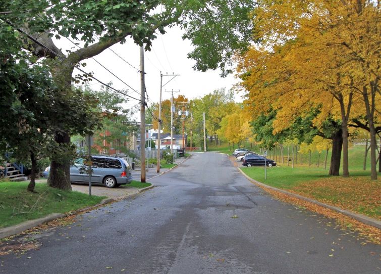 a view down a tree lined residential street in an autumn setting