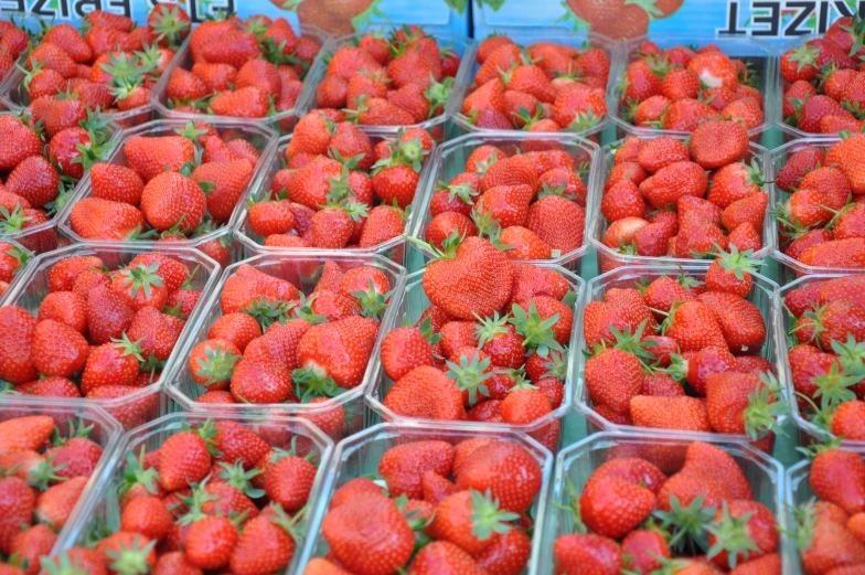 a group of plastic trays filled with ripe strawberries