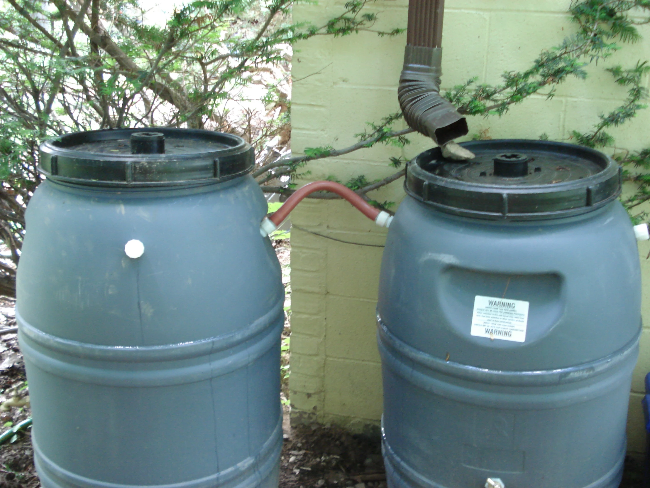 two gray barrel containers next to a plant