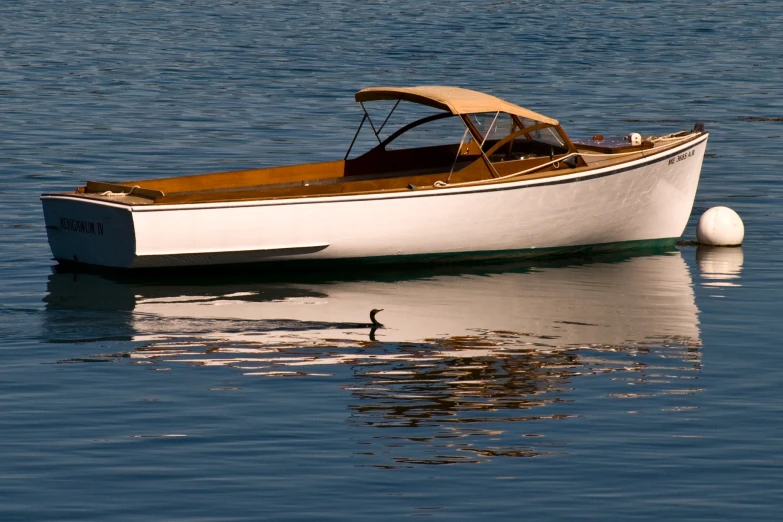 a small sail boat floating on the water with a paddle