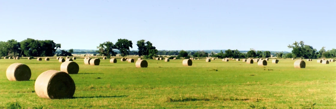 a field of round bales that is in the middle of the grass