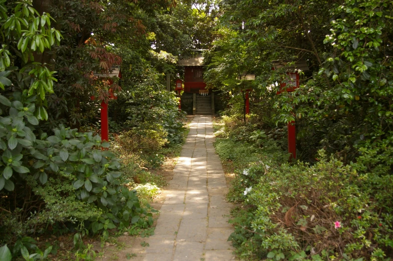 a garden with various trees and foliage around it