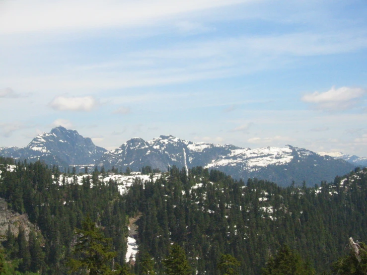 a picture of snow - covered mountains with trees in the foreground