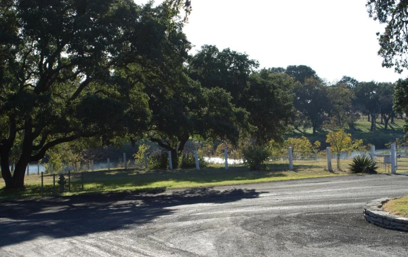 two parking meters in front of some trees