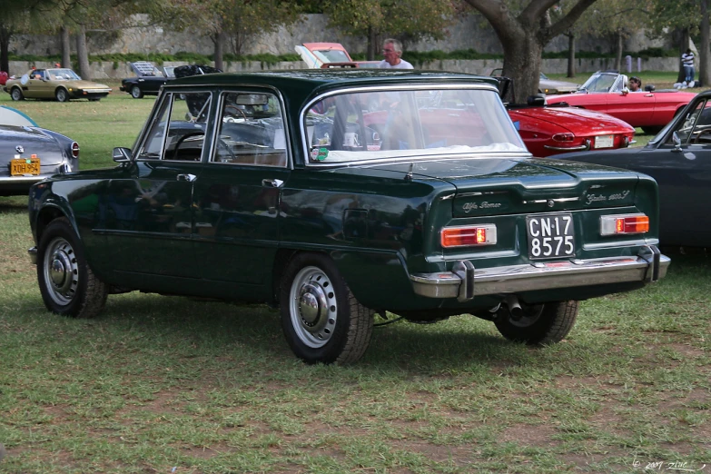 the antique cars are parked on the grass