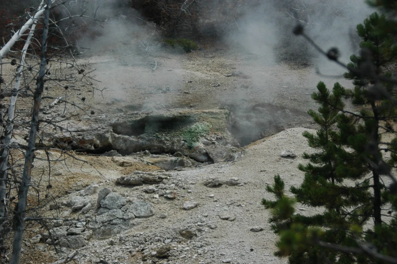 steam rises from a crater with a tree in the background