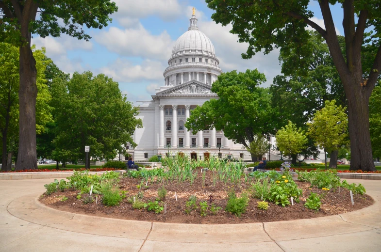 a dome with trees surrounding it on top