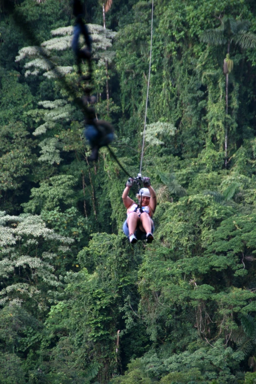 man on aerial course above trees on clear day