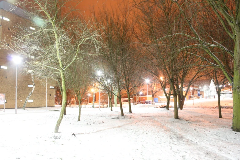 a snowy path lined with trees in a town square