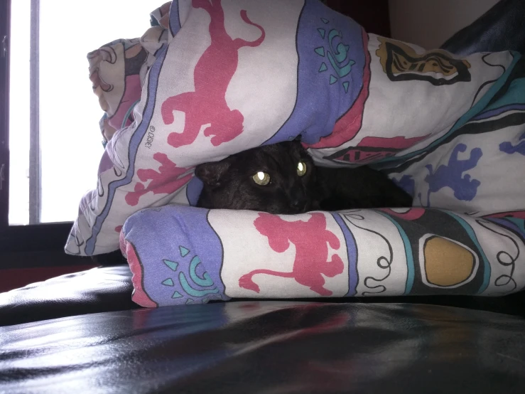 black cat lying on a bed with colorful comforters